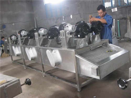 河北蔬菜風(fēng)干機(jī)價(jià)格與諸城匯康機(jī)械產(chǎn)品解析