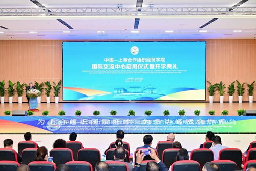 西安交大科教院赴青島調研合作，共促數字文化創(chuàng)意軟件開發(fā)